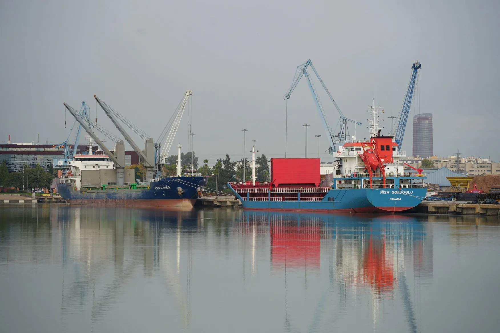 El Puerto de Sevilla inicia el año con alta actividad y 18 buques operando en sus muelles