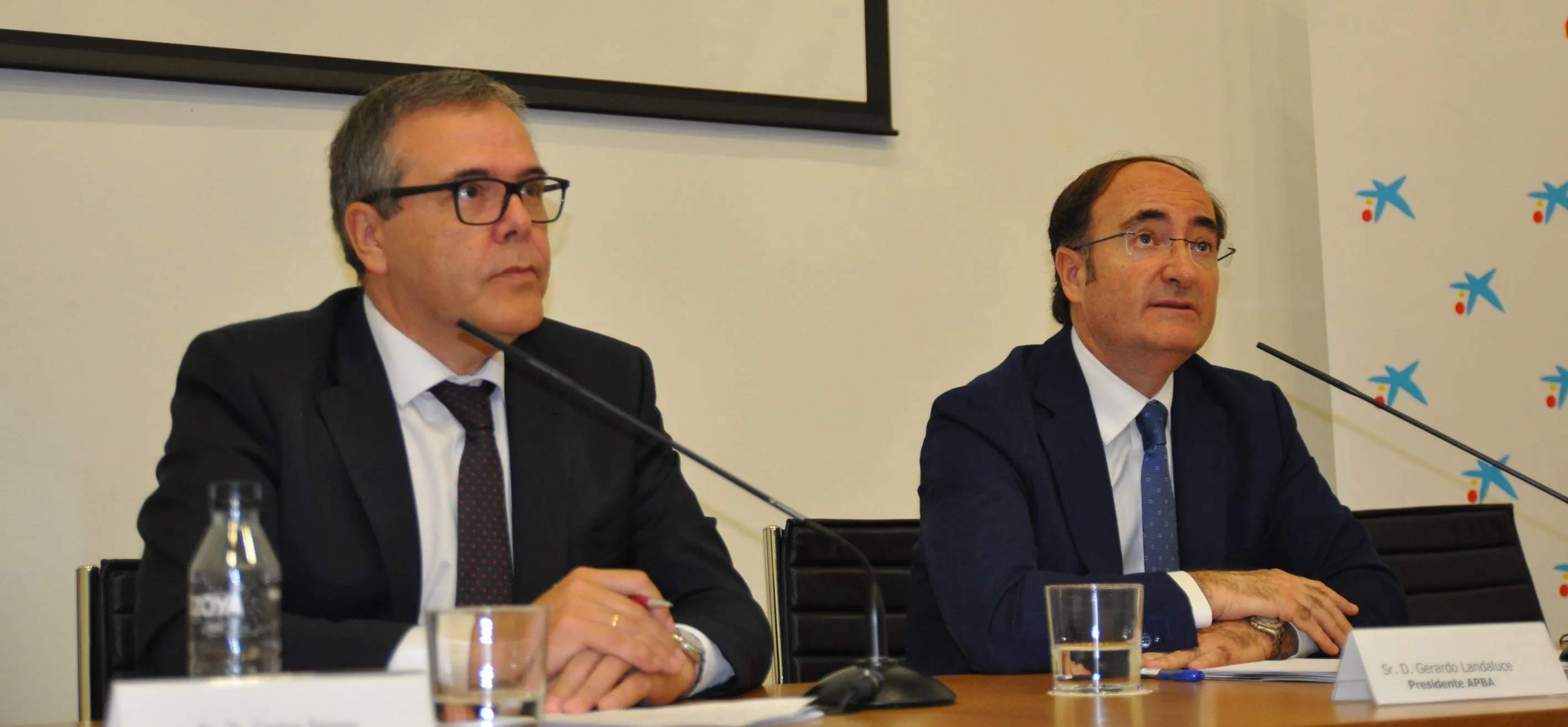Landaluce detalla en la Cámara sus principales frentes abiertos tras su aterrizaje en la APBA