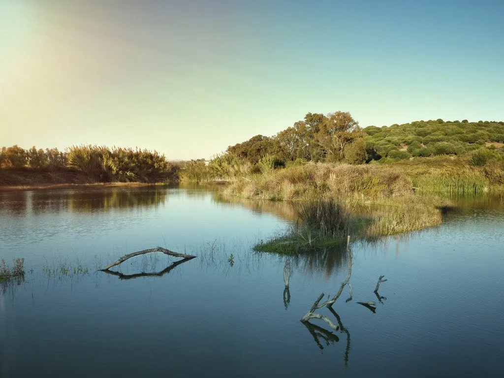 Cepsa celebra el Día Mundial del Medio Ambiente recordando su compromiso con la sostenibilidad